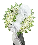 Hoa yêu thương 15015