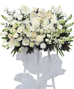 Hoa chia buồn 3047