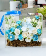 Hoa mừng tốt nghiệp 10695