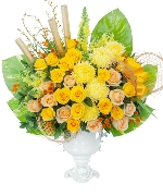 Hoa mừng tốt nghiệp 12496