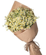 Hoa mừng tốt nghiệp 8424