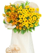 Hoa chúc mừng 12504