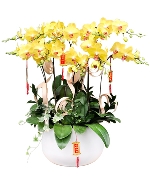 Hoa chúc mừng 12709