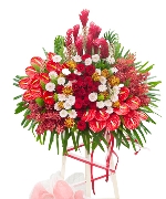 Hoa chúc mừng 13106