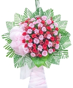 Hoa yêu thương 13152