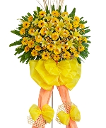 Hoa chúc mừng 14349