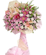 Hoa yêu thương 14377