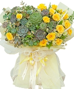 Hoa yêu thương 14521