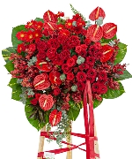 Hoa yêu thương 14947