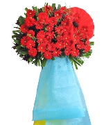 Hoa chúc mừng 16569