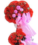 Hoa chúc mừng 16571