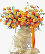 Hoa chúc mừng 3216