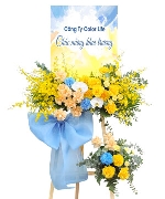 Hoa chúc mừng 4718