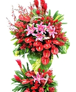 Hoa chúc mừng 5277