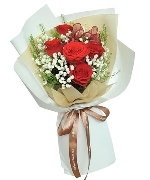 Hoa chúc mừng 5393