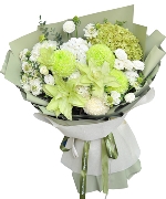 Hoa chúc sức khỏe 10261