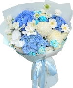 Hoa chúc sức khỏe 11588