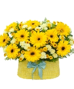 Hoa chúc sức khỏe 13299