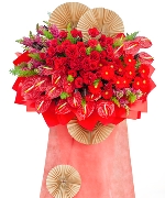 Hoa đồng tiền 12505