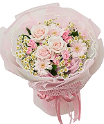 Hoa đồng tiền 14339