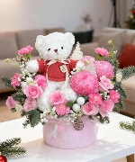 Hoa Giáng Sinh 12254