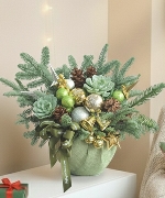 Hoa Giáng Sinh 13968