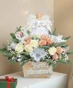 Hoa Giáng Sinh 14816