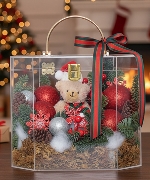 Hoa Giáng Sinh 14820