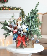 Hoa Giáng Sinh 15757