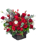 Hoa Giáng Sinh 7368