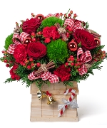 Hoa Giáng Sinh 7375