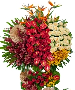 Hoa khai trương 11573