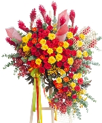 Hoa khai trương 13113