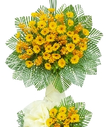 Hoa khai trương 13150