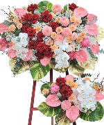 Hoa khai trương 13317