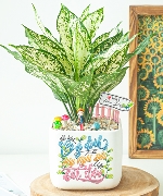 Khuyến mãi 11056