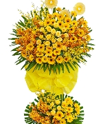 Khuyến mãi 14380