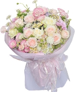 Khuyến mãi 4041
