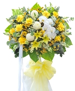Khuyến mãi 4562