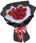 Khuyến mãi 8039