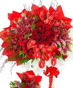 Lan hồ điệp 11572