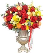 Lan hồ điệp 8525