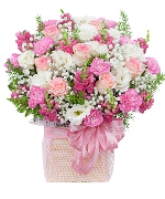 Hoa sinh nhật 13129