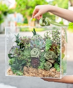 Hoa sinh nhật 15565