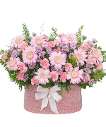 Hoa sinh viên 13301