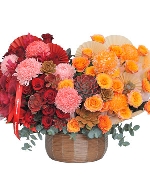 Hoa Tết 12578