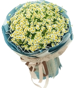 Hoa tình yêu 13291