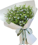 Ngày phụ nữ Việt Nam (20/10) 8739