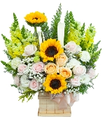 Ngày nhà giáo 5129