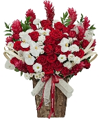 Hoa yêu thương 14686